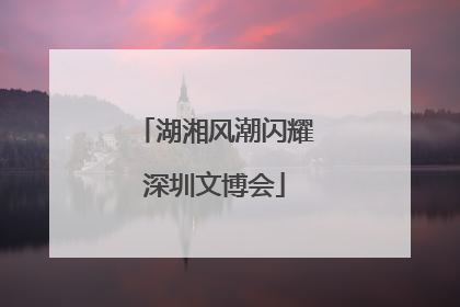 湖湘风潮闪耀深圳文博会