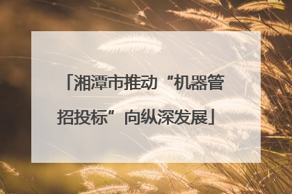湘潭市推动“机器管招投标”向纵深发展