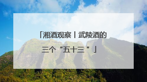湘酒观察丨武陵酒的三个“五十三 ”