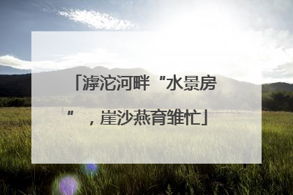 滹沱河畔“水景房”，崖沙燕育雏忙