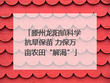 滕州龙阳镇科学抗旱保苗 力保万亩农田“解渴”
