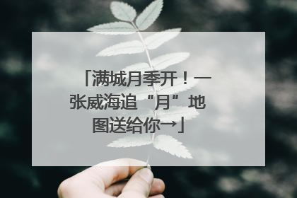 满城月季开！一张威海追“月”地图送给你→