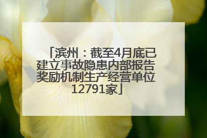 滨州：截至4月底已建立事故隐患内部报告奖励机制生产经营单位12791家