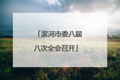 漯河市委八届八次全会召开