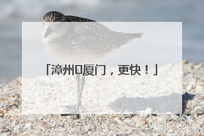 漳州⇋厦门，更快！