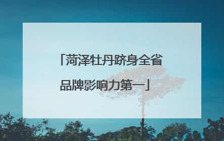 菏泽牡丹跻身全省品牌影响力第一