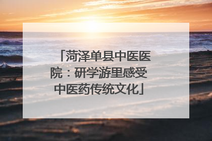 菏泽单县中医医院：研学游里感受中医药传统文化