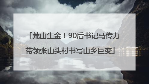 荒山生金！90后书记马传力带领张山头村书写山乡巨变