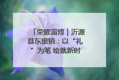 荣耀淄博｜沂源县东里镇：以“礼”为笔 绘就新时代乡风文明画卷