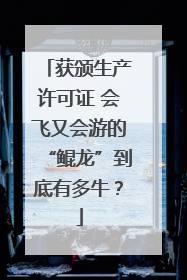获颁生产许可证 会飞又会游的“鲲龙”到底有多牛？
