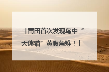 莆田首次发现鸟中“大熊猫”黄腹角雉！