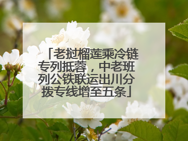 老挝榴莲乘冷链专列抵蓉，中老班列公铁联运出川分拨专线增至五条