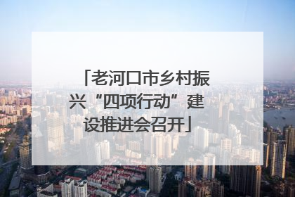 老河口市乡村振兴“四项行动”建设推进会召开