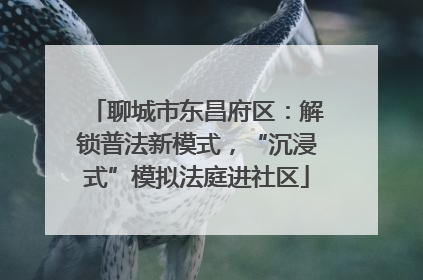 聊城市东昌府区：解锁普法新模式，“沉浸式”模拟法庭进社区