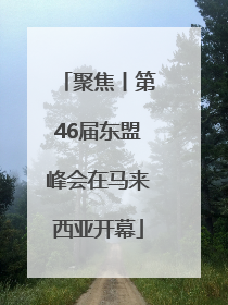 聚焦丨第46届东盟峰会在马来西亚开幕