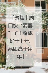 聚焦丨周口快“麦罢”了！收成好于上年、品质高于往年