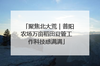 聚焦北大荒｜普阳农场万亩稻田夏管工作科技感满满