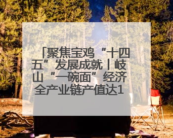 聚焦宝鸡“十四五”发展成就丨岐山“一碗面”经济全产业链产值达162亿元 入选全国典型县