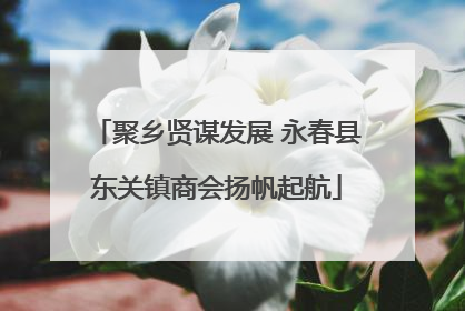 聚乡贤谋发展 永春县东关镇商会扬帆起航
