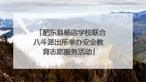 肥东县杨店学校联合八斗派出所举办安全教育志愿服务活动