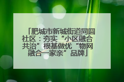 肥城市新城街道同圆社区：夯实“小区融合共治”根基做优“物网融合一家亲”品牌