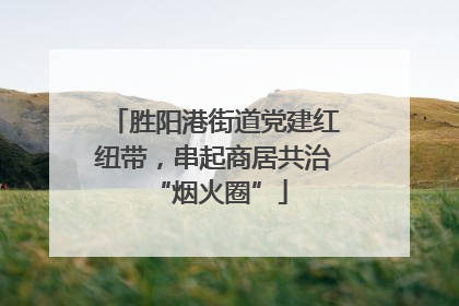 胜阳港街道党建红纽带，串起商居共治 “烟火圈”