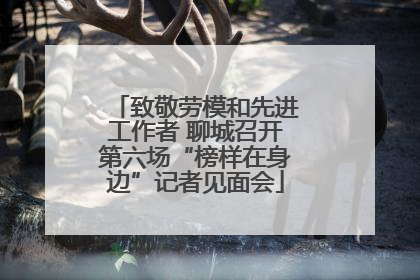 致敬劳模和先进工作者 聊城召开第六场“榜样在身边”记者见面会