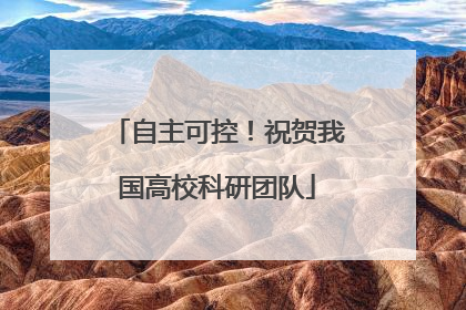 自主可控！祝贺我国高校科研团队