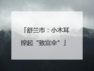 舒兰市：小木耳撑起“致富伞”