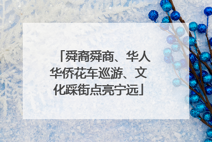舜裔舜商、华人华侨花车巡游、文化踩街点亮宁远