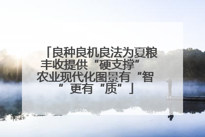 良种良机良法为夏粮丰收提供“硬支撑” 农业现代化图景有“智”更有“质”