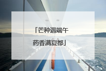 芒种遇端午 药香满夏都