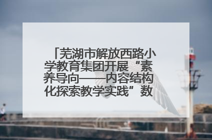 芜湖市解放西路小学教育集团开展“素养导向——内容结构化探索教学实践”数学专题研讨活动