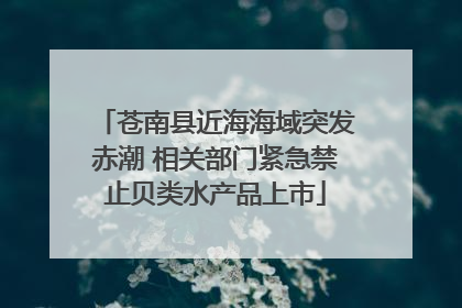 苍南县近海海域突发赤潮 相关部门紧急禁止贝类水产品上市