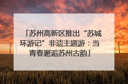 苏州高新区推出“苏城环游记”非遗主题游：当青春邂逅苏州古韵