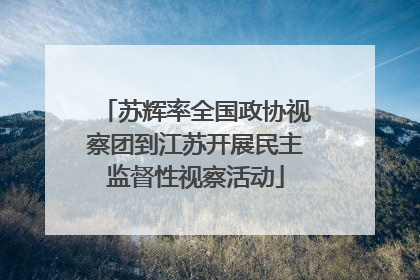 苏辉率全国政协视察团到江苏开展民主监督性视察活动