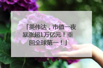 英伟达，市值一夜暴涨超1万亿元！重回全球第一！