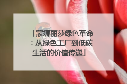 蒙娜丽莎绿色革命：从绿色工厂到低碳生活的价值传递