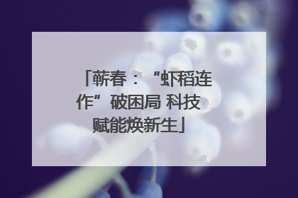 蕲春：“虾稻连作”破困局 科技赋能焕新生