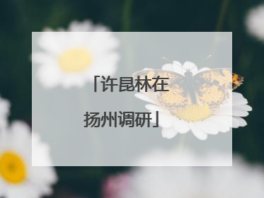 许昆林在扬州调研