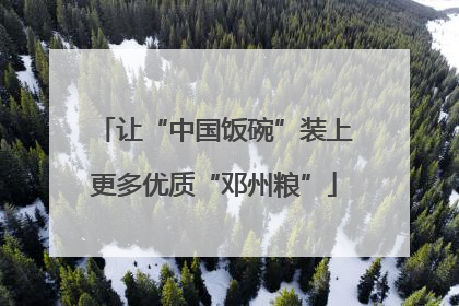 让“中国饭碗”装上更多优质“邓州粮”