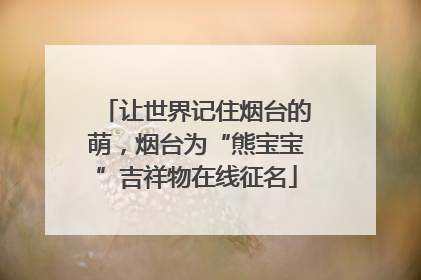 让世界记住烟台的萌，烟台为“熊宝宝”吉祥物在线征名