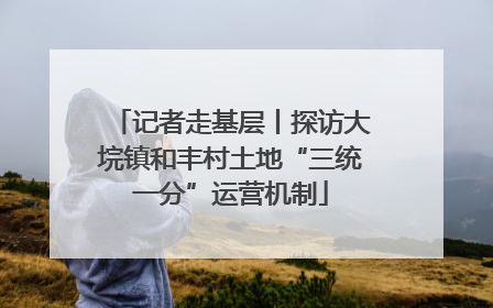 记者走基层丨探访大垸镇和丰村土地“三统一分”运营机制