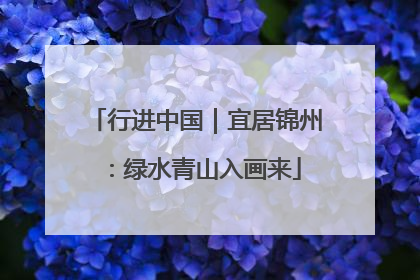 行进中国｜宜居锦州：绿水青山入画来