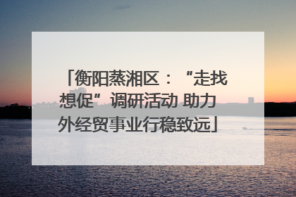 衡阳蒸湘区：“走找想促”调研活动 助力外经贸事业行稳致远