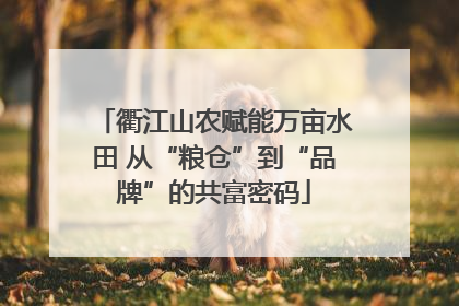 衢江山农赋能万亩水田 从“粮仓”到“品牌”的共富密码