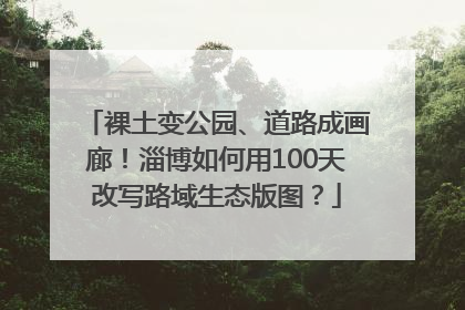 裸土变公园、道路成画廊！淄博如何用100天改写路域生态版图？