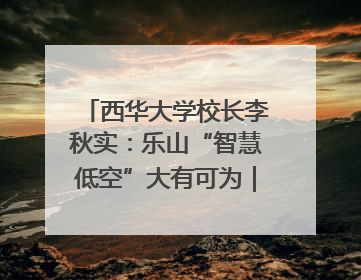 西华大学校长李秋实：乐山“智慧低空”大有可为｜西望四川