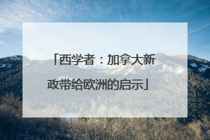 西学者：加拿大新政带给欧洲的启示