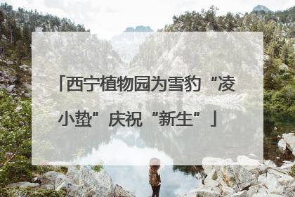西宁植物园为雪豹“凌小蛰”庆祝“新生”